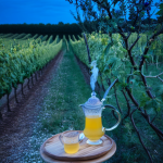 Tisane du soir sans camomille : vos nouvelles compagnes de détente