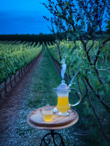 Tisane du soir sans camomille : vos nouvelles compagnes de détente